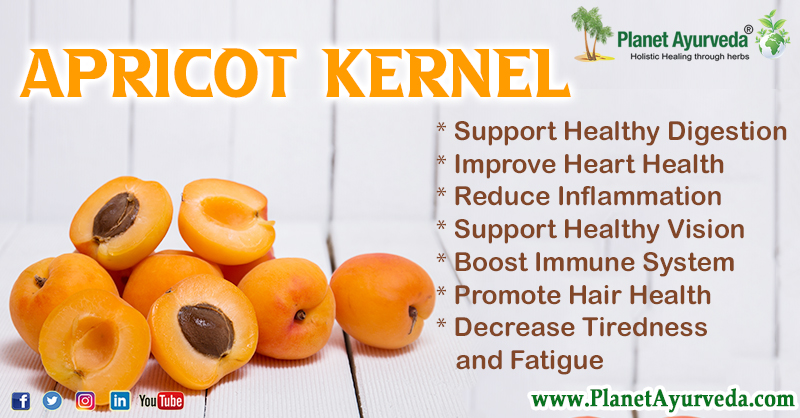 Health Benefits of Apricot Kernel
#ApricotKernel #HealthBenefitsOfApricotKernel #ApricotKernelBenefits #ApricotKernelHealthBenefits #Nutrition #DigestionHealth #HeartHealth #HealthyGut #HealthyVision #EyeHealth #BoostImmuneSystem #HairHealth #Antiinflammatory