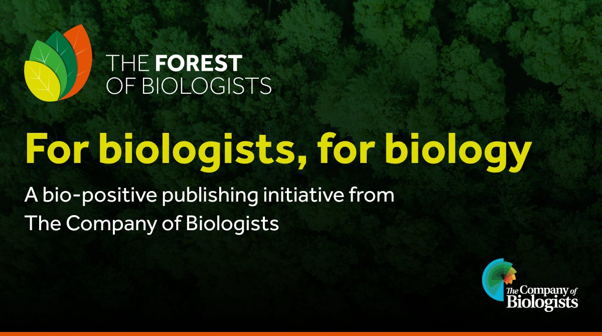 The Forest of Biologists (@for_biologists) on Twitter photo (1/3) Welcome to The Forest of Biologists. We are excited to launch this new #biodiversity initiative from <a href="/Co_Biologists/">The Company of Biologists</a>, aiming to counteract nature loss, and safeguard some of the most critically endangered #ecosystems for future generations. (1/3) Welcome to The Forest of Biologists. We are excited to launch this new #biodiversity initiative from <a href="/Co_Biologists/">The Company of Biologists</a>, aiming to counteract nature loss, and safeguard some of the most critically endangered #ecosystems for future generations.