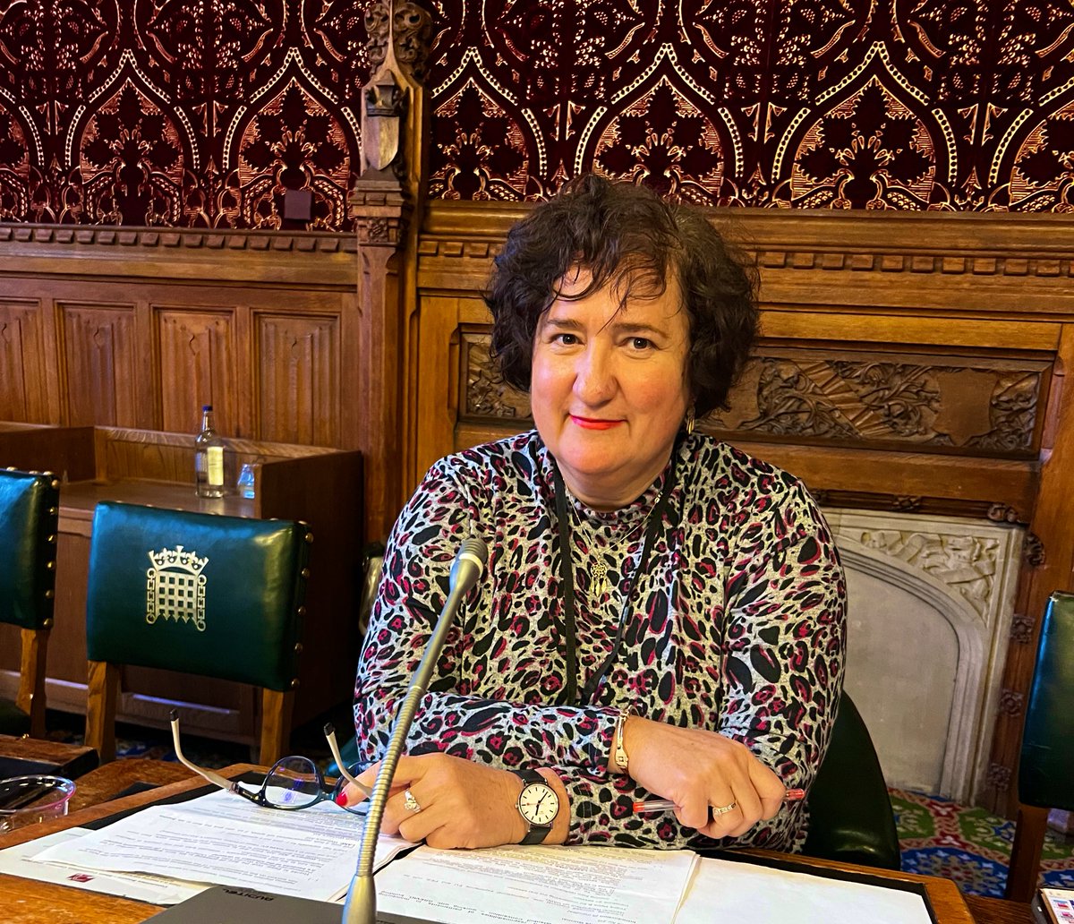 LiriKopaci's tweet photo. Moving from ratification to implementation & monitoring of the #IstanbulConvention. The role of #parliaments & #civilsociety are crucial in this process @zgurmai_EN @PACE_Equality @UKParliament seminar on #IstanbulConventionSavesLives https://t.co/StAKQ3WAkv