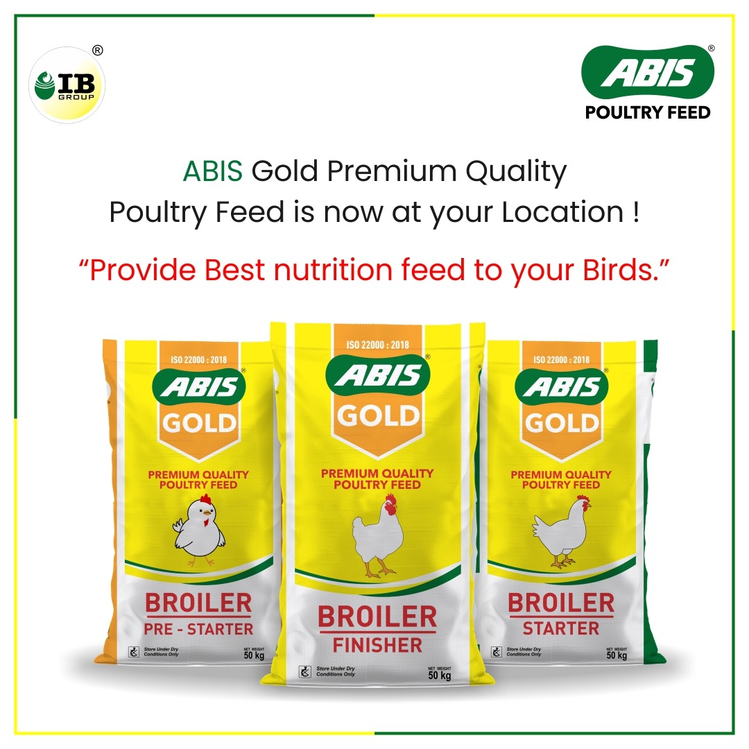 ibgroup_india's tweet photo. Only a high-yielding poultry batch ensures high-end profits. ABIS Poultry Feed is premium quality feed for #poultry which ensures both. 

For more details: +91 91091-39704
#Poultry #poultryfeed #poultrybird #Pelletfeed #poultryindustry #profit #growth #premiumpoultryfeed #farmers https://t.co/bG8hPbyZu9