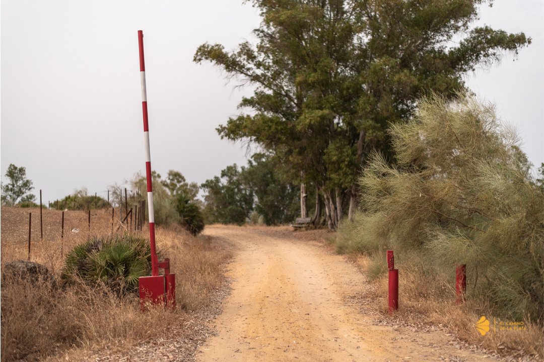 🙌🏻Parque periurbano #ElGergal, un lugar donde descansar

En la localidad de #Guillena, se encuentra este #parque, un lugar donde la #naturaleza, la tranquilidad y la paz se fusionan para que puedas descansar un rato del camino

👣El Gergal te espera en la #ViadelaPlata, peregrino