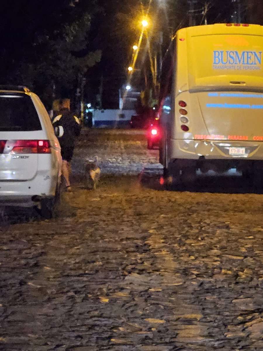 ZeVirusCompany's tweet photo. @BusmenMx uno de sus vehículos está obstaculizando la vía, tiene desde ayer ahí https://t.co/tnucV7vMVZ