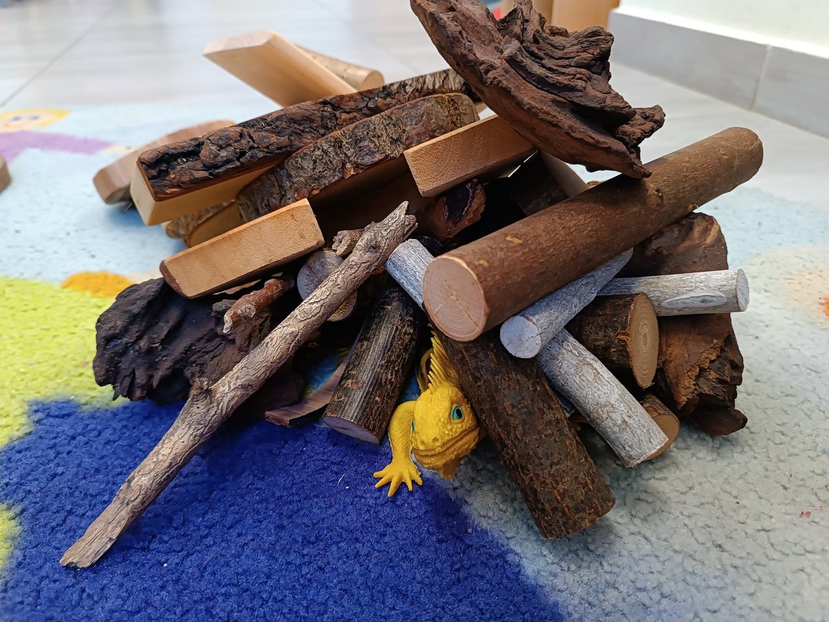 This morning during my walkthroughs I had to stop and chat with a group of kids in our Early Years as they were building a forest from various loose parts! In the meantime, the iguana was trying to sneak out😃 <a href="/vismalta/">HeadofSchool</a> #learningthroughplay