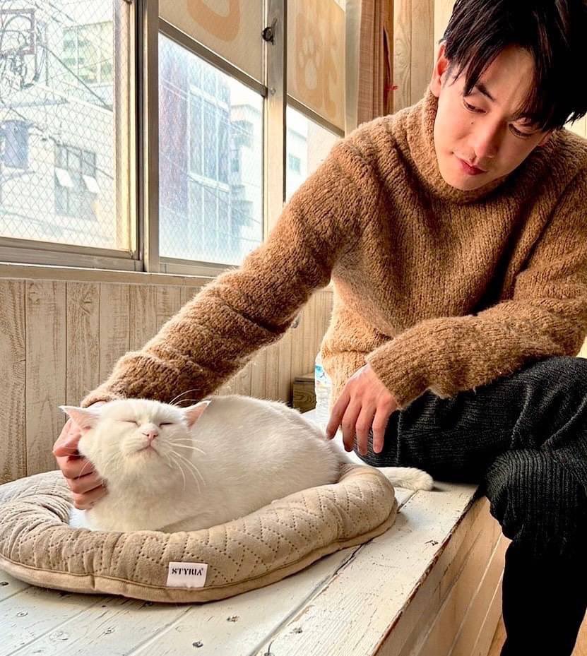 mirei12151215's tweet image. #佐藤健LINEVOOM
#佐藤健🫶🫶🫶🫶