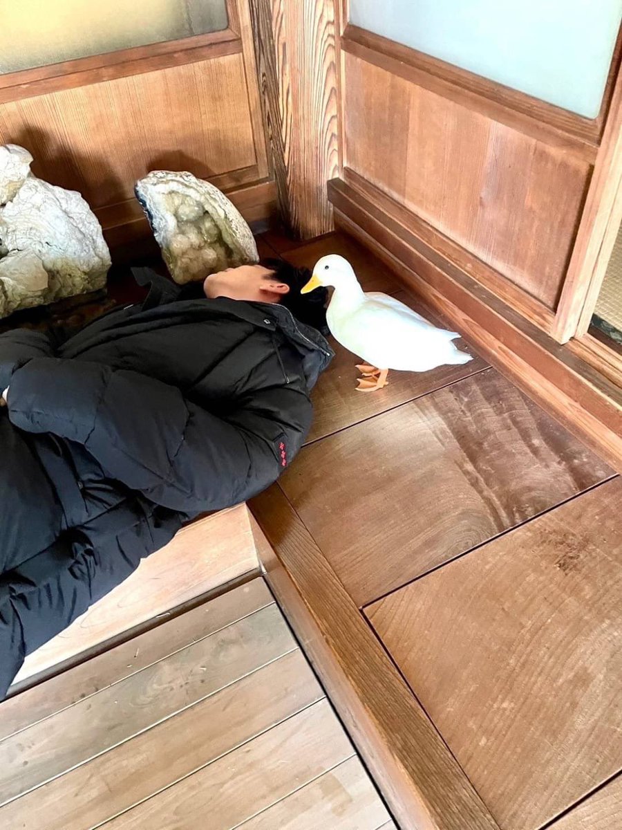 mirei12151215's tweet image. #佐藤健LINEVOOM
#佐藤健🫶🫶🫶🫶