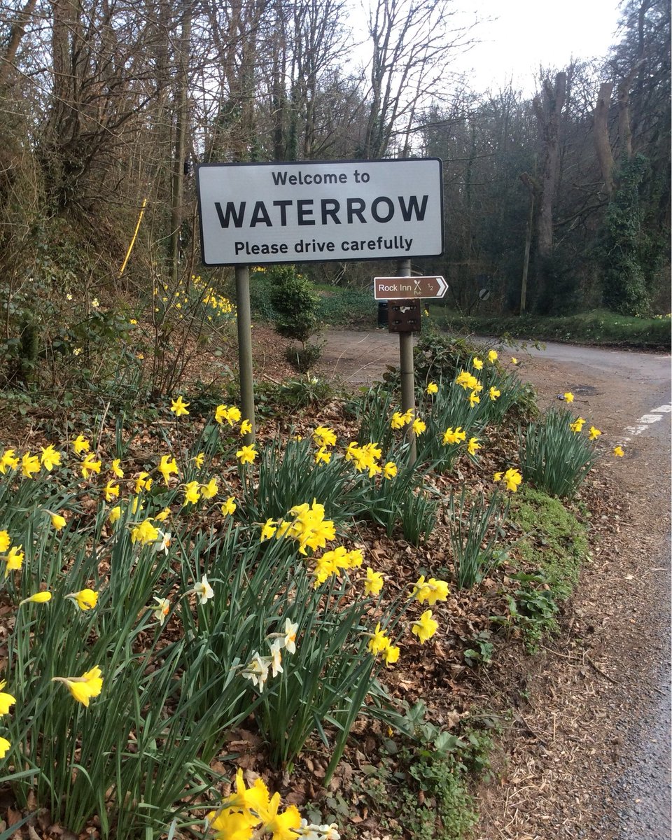 RockInnWaterrow's tweet image. Springtime in Waterrow 🌼
#waterrow #springtime🌸 #rockinnwaterrow