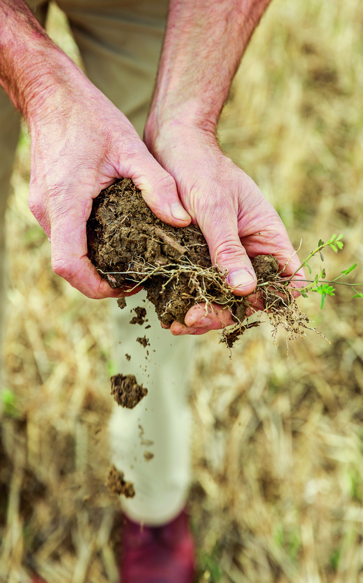 BASFAgro's tweet photo. Building a sustainable future from the ground up means taking action and daring to change.🌱
Meet people who are taking action to limit global warming from the ground up in our brand-new #CreatingChemistry story:👇
https://t.co/aK7hk0W5Hk https://t.co/UOyS8CYtbn