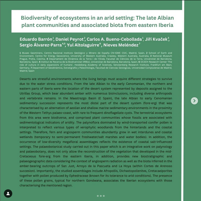 IRBioUB's tweet photo. ➡️ Nou article de l' @AmberiaResearch   a la revista @PLOSONE  ONE! 🌲🌴🌳🐝🏜️
@sergio203bio 
#floweringplants #pollen #paleoecology #paleobotany #marshes #cretaceousperiod #aridsettings #albianplantcommunities #plantcommunities  #unitedforbiodiversity #unibarcelona #biodiversity https://t.co/F3fKlRTk2r