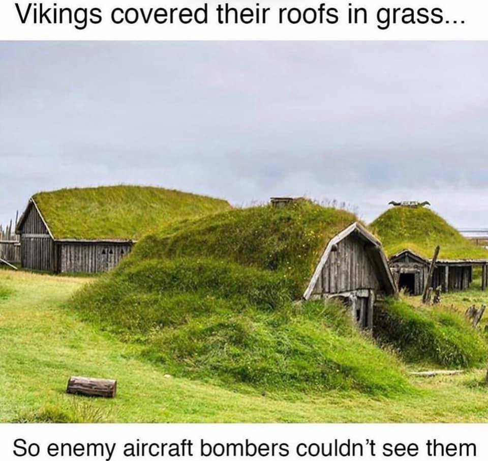 Wild Weasel Apparel tweet media