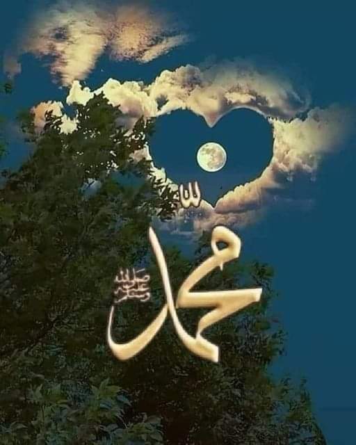 shacni252's tweet photo. Today's Best Photo❤️⚘️💚🌿❤️⚘️💚🌿❤️⚘️💚🌿❤️⚘️💚🌿 Beautiful https://t.co/YDpGnYH3dW