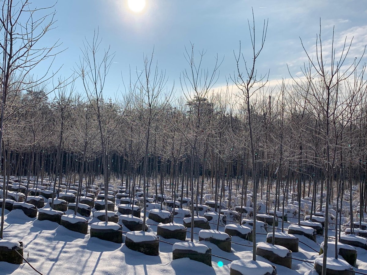 RootPouch's tweet image. Concerned about cold damage to plants? Root Pouch natural fiber blended pots' thermal capabilities offer peace of mind. 

Call us at 503-439-0306 or email info@rootpouch.com, and we'll be there to help.