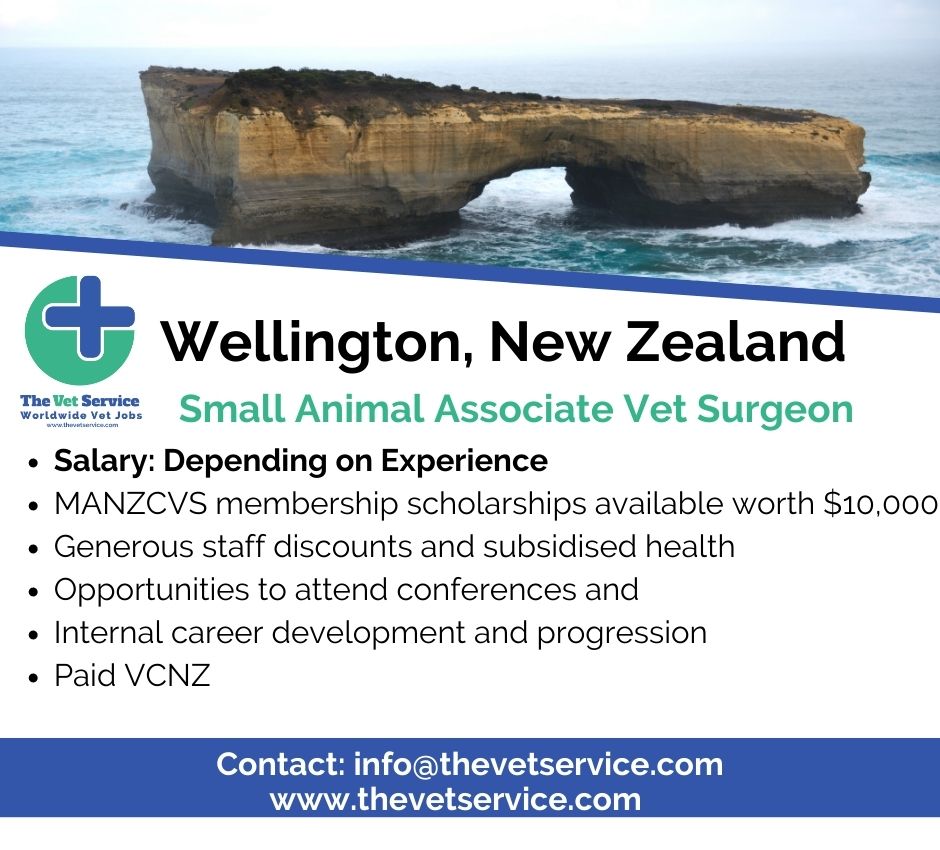 Small Animal Associate Vet Surgeon Job in Wellington, New Zealand! 🐶

thevetservice.com/vet-jobs-new-z…

#thevetservice #vetstudents #vet #veterinarymedicine #veterinarysurgeon #vetlifestyle #vetlife #vetlocum #vetjob #vetjobs