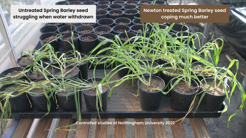 NichinoUK's tweet image. The last thing your #SpringBarley crops 🌱 will need this spring/summer is a #drought - especially on light #soils.

But chances are it will come!

#Newton #biostimulant seed treatment is proven to help grow plants with improved drought resilience 👉 bit.ly/3IBFYqU