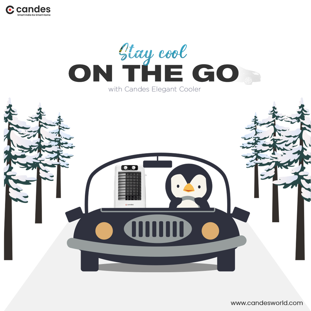 Candes World tweet media