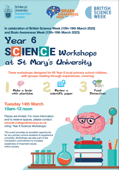Tomorrow for British Science Week #BSW23 @yourstmarys @StMarysSAHPS welcomes Yr 6 children from Archdeacon Cambridge’s
Church of England Primary School. Can't wait to meet you all to build brains, review scientific papers and be food detectives 🧠👩‍🔬👨‍🔬✍️🧑‍🍳🥦