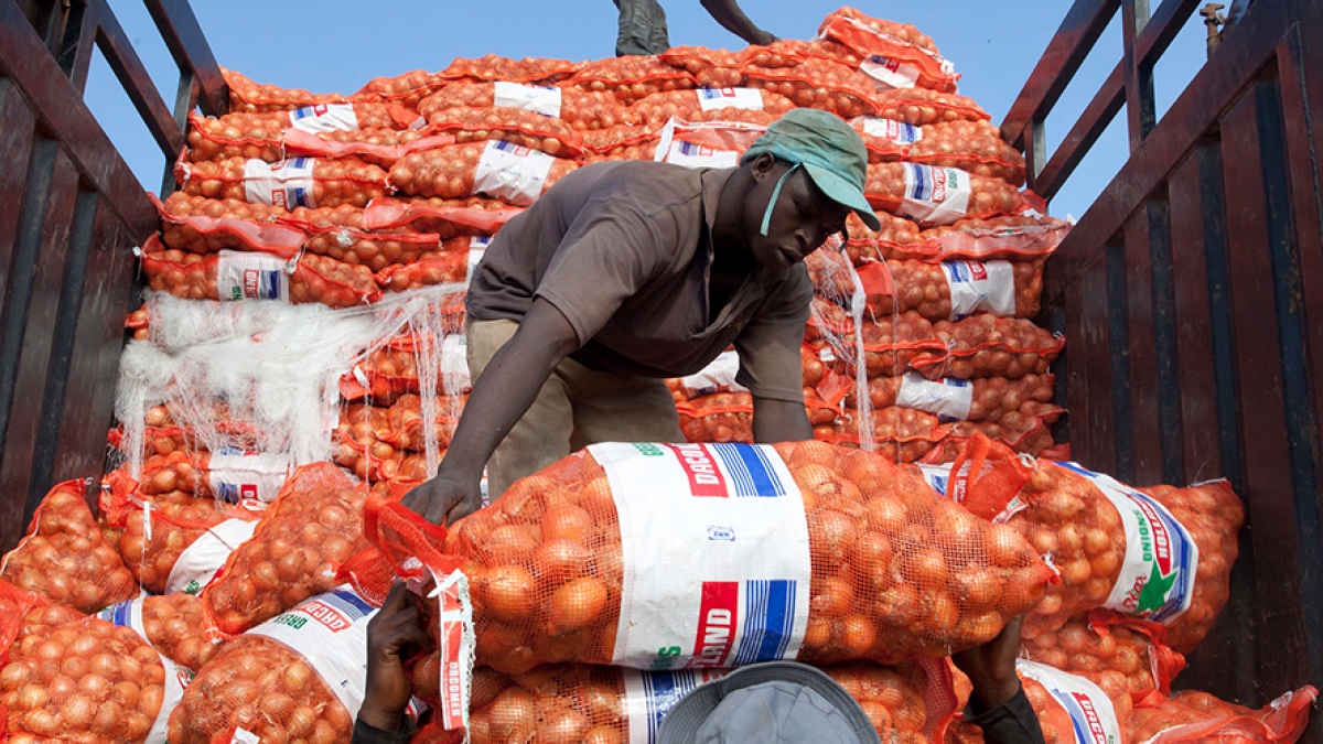 WBGTanzania's tweet photo. Good🔅news to build upon: #Africa is converging

A recent analysis of Africa’s income inequality suggests that poorer African economies have consistently grown faster in per capita terms since 2000 than richer ones. Why is this important? ▶️ https://t.co/5X3HBO9BAa https://t.co/Mb3SUax0pX