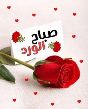 ابو اليل ابواليل tweet media