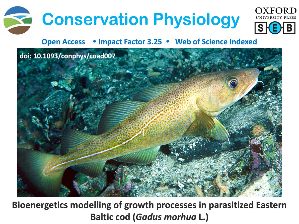 conphysjournal's tweet photo. New in #ConPhys!
Bioenergetics modelling of growth processes in parasitized Eastern Baltic cod (Gadus morhua L.)
Read more here:
https://t.co/CDYv0EUdvz
#bioenergetics #modelling #balticcod https://t.co/cMBb4bKG5M