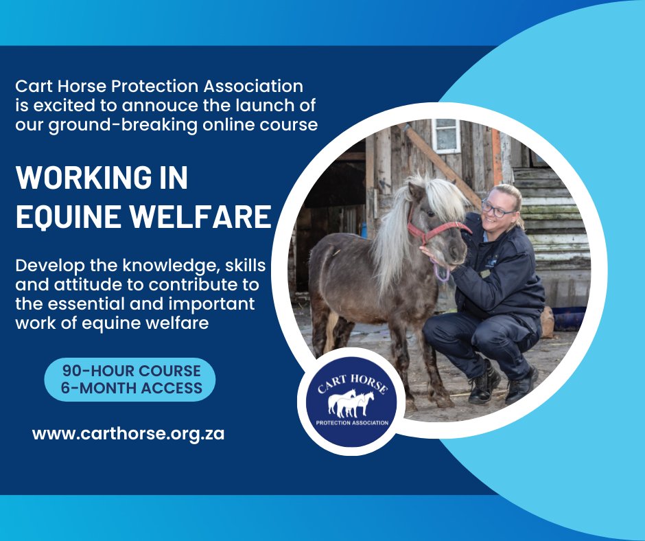 The Cart Horse Protection Association now has an online Equine Welfare Training Course! Click the link to learn more!
mvnt.us/m1367701