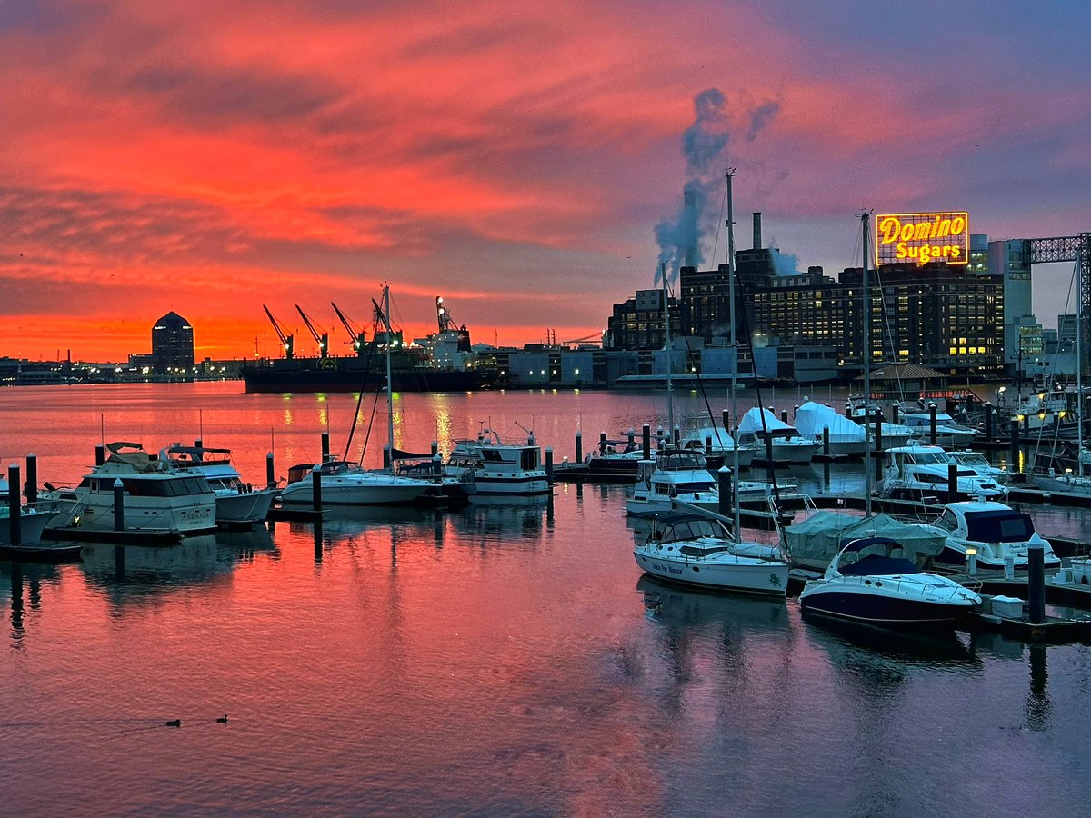 isabel_cumming's tweet photo. Sometime you need to reach back to move forward - this was taken Friday but never posted - so using it today to remind everyone on this  dreary Monday of Baltimore’s brilliance!  Onward and make it a great week ✨🖤💛. #MondayMotivation https://t.co/G86fLbIPp4