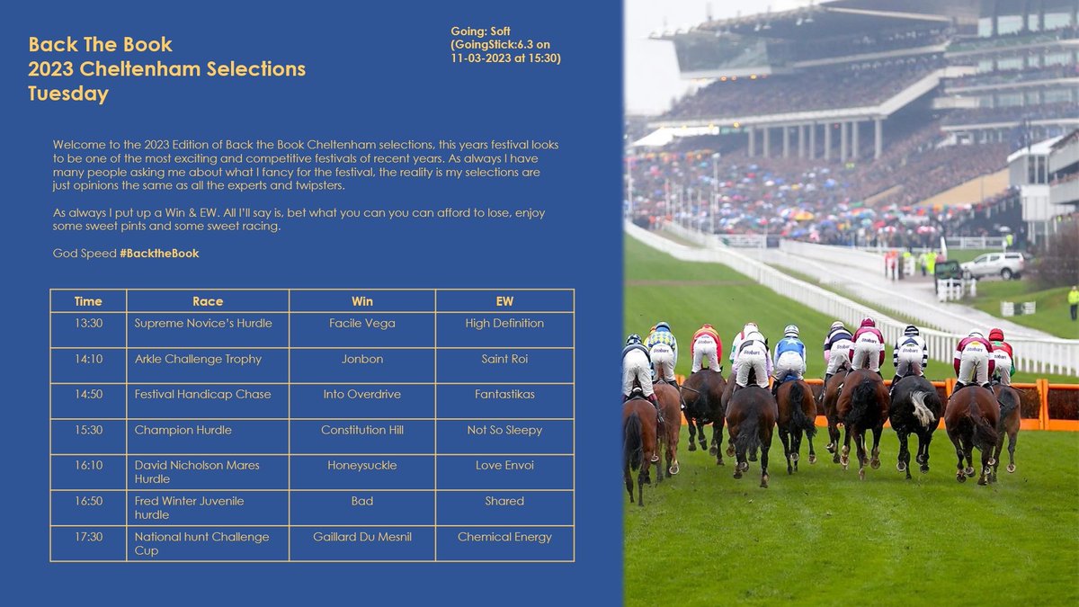 backthebook's tweet photo. For the 1 Follower that will see this, I salute you #Backthebook #CheltenhamFestival #Cheltenham2023 🐎 https://t.co/yPH8cmBvuk