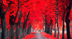 david_dnft's tweet image. shill your best nft🥳👹❤️ at@rarible
#NFTGiveaways 
0.007($11)
to enter
✅ follow me🟢
✅RE++🌹❤️
✅TAG Some friends
🤩winner picked in  nextweek🎀 good luck
rarible.com/token/0xc91544…
#NFTGiveways #nftsale #nftart #NFTtrending #NFT #NFTshilling #nfttrader #NFTCommunity #nftart