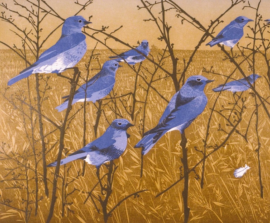 US contemporary printmaker Andrea Rich #WomensArt