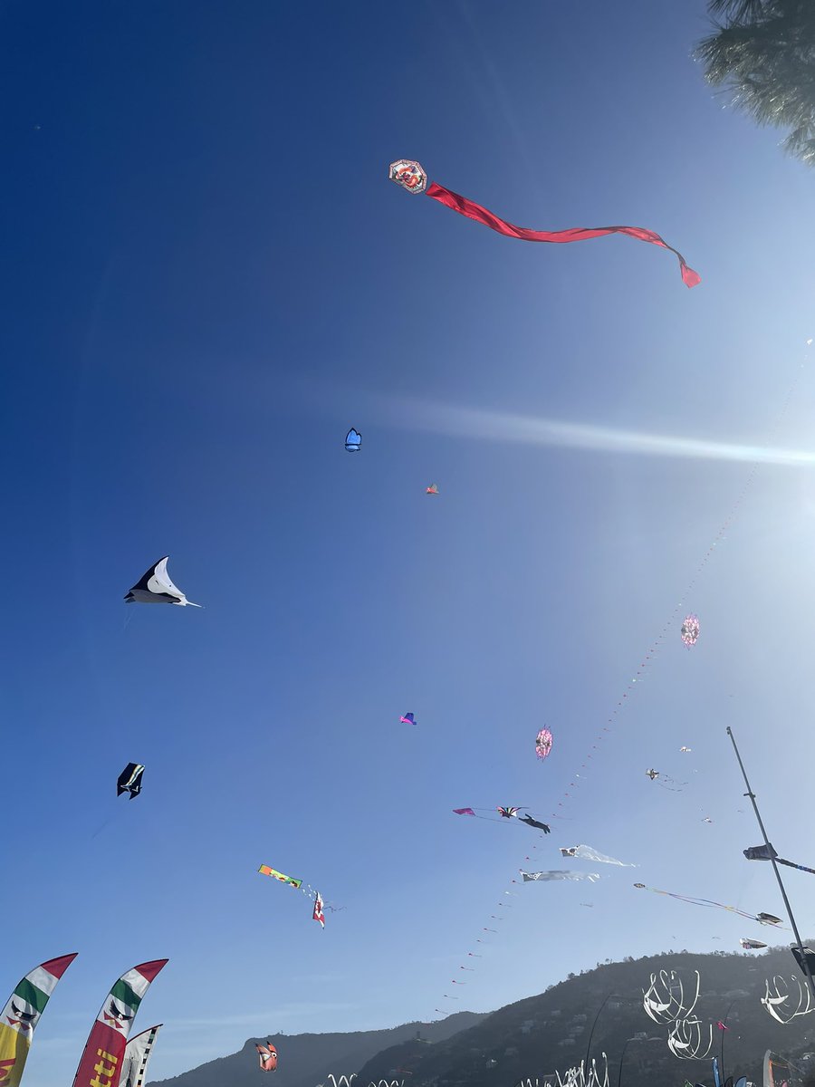 Gm guys! ⛩️🌾🌊