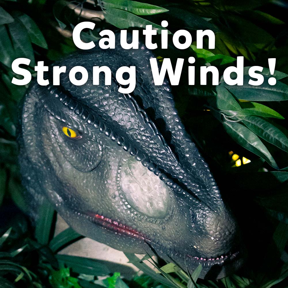 TheDeepHull's tweet image. ⚠️WEATHER WARNING ⚠️

Please note we are experiencing high winds in the car park today.

We advise visitors to leave prams and umbrellas in their cars for safety reasons. Please also ensure you take care when opening or closing car doors.
#WindWarning #TheDeepHull #TakeCare