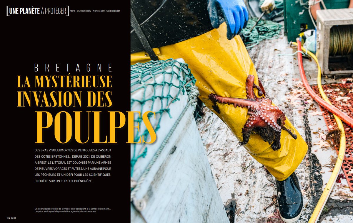 Sylvain Moreau tweet media