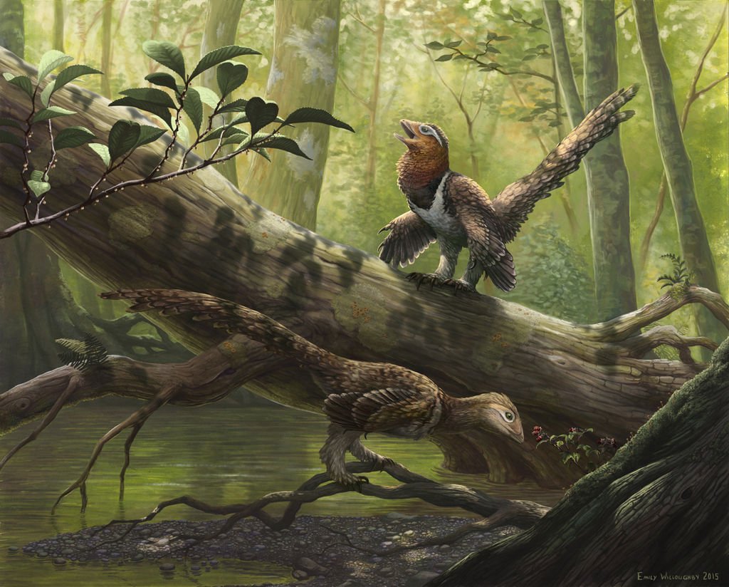 Blood Simple Minds on Twitter: 