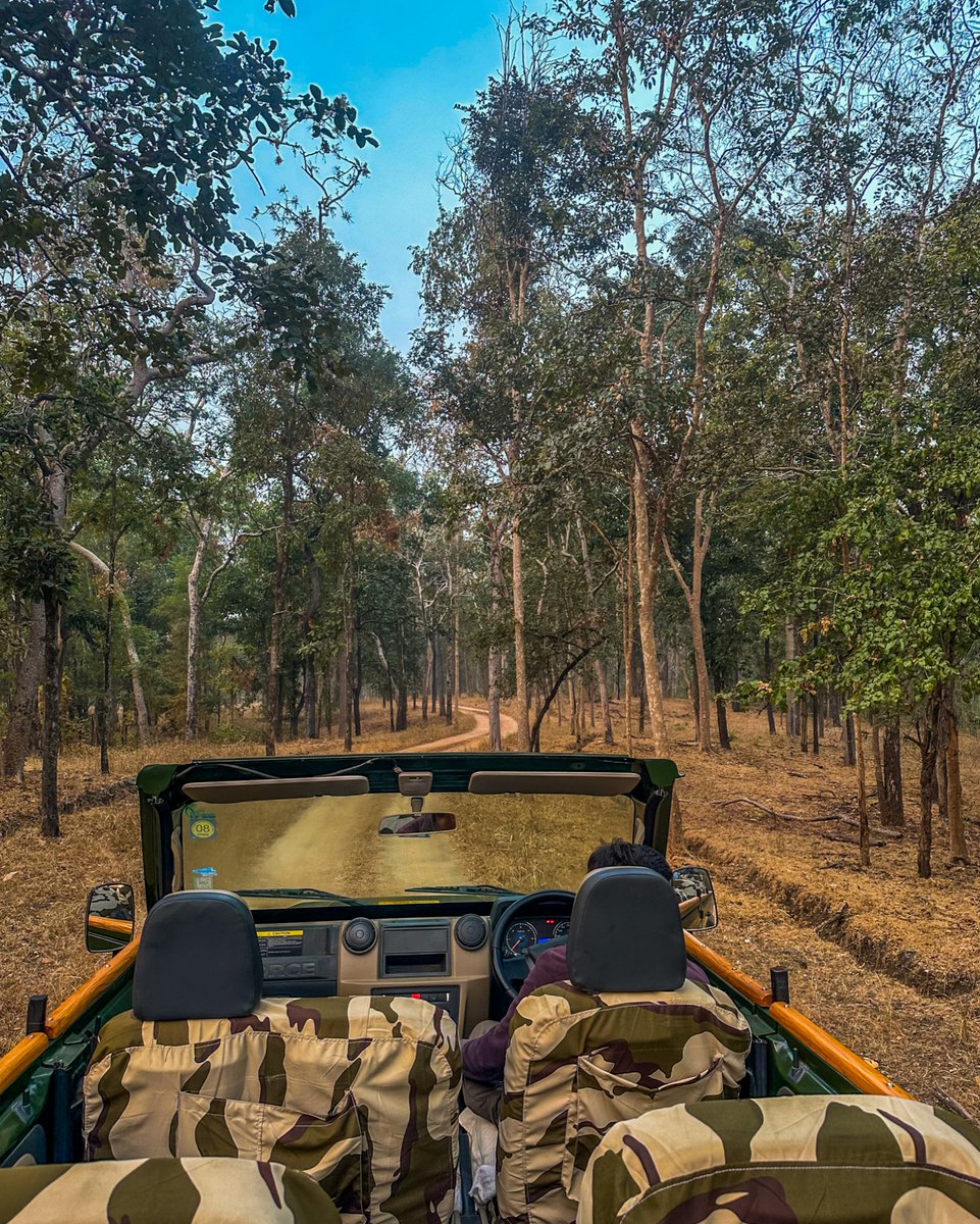 Jeep safaris are a perfect way to witness the magnificence of Pench Tiger Reserve, the same forests that inspired the tales of Mowgli.

Visit: junglecampsindia.com 

#Junglecampsindia #pench #penchjunglecamp #safari