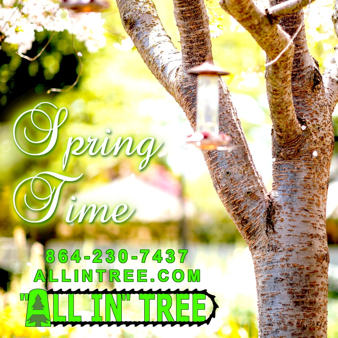 ALLINTREE's tweet photo. Happy Spring time to everyone!  Well it isn't actually until March 20th...but with daylight saving time changing we are doing it a little early. https://t.co/g0jMV8svbr
