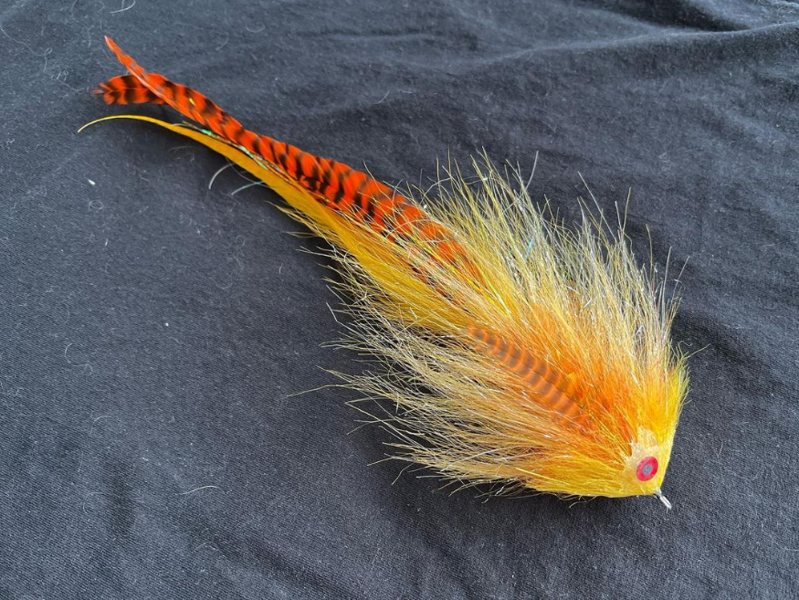 Saltwateronfly's tweet photo. Has a tigerish look, nice
@muskyshivers
Very happy with this Wisco Flame inspired @squimpishflies Topless Dancer.
•
#musky #muskyfishing #muskyonthefly #muskyfly #muskyhunter #muskylures #flyfishing #flyfishingaddict #muskie #muskiefishing #fish #fishing #tightlines https://t.co/996x8iJfVn