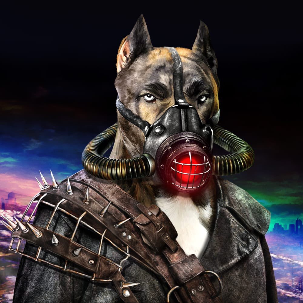 Good morning everyone 💚🇵🇹❤️🐶 hope all #CNFTCommunity loves our 1/1, #cnfts #Cardano 👀 happy Monday