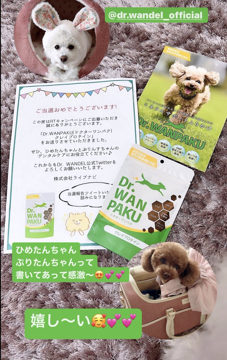 miumiu1253's tweet photo. @WANDEL_official 
ひめたんちゃんぷりたんちゃんて書いてあるのが本当に嬉し過ぎます
😍💕💕
ありがとうございます😍😍 https://t.co/24klidNixd
