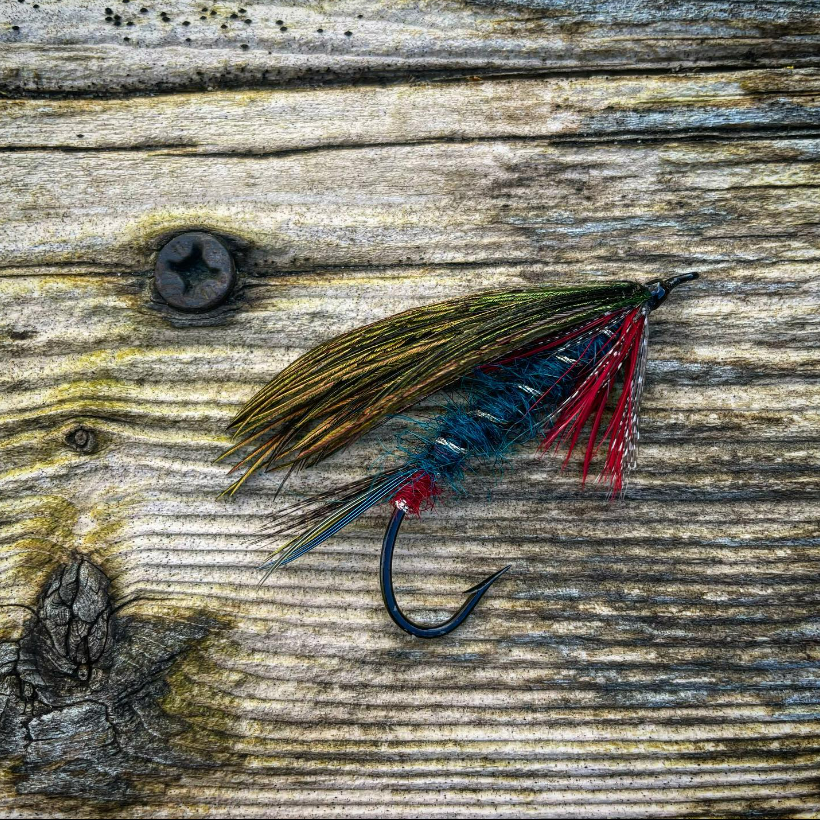 Saltwateronfly's tweet photo. Like the Peacock Wing, nice
@gnrl_prctnr
Unknown Irish (?) jobby copied from a vintage example shared by Colin Innes on FB. Original had a peacock sword wing but I went with herl…
;
#flytyingphotography #steelheadflies #salmonflies #swingflies #laksefiske #spey #wintersteelhead https://t.co/HfwafJWo9R