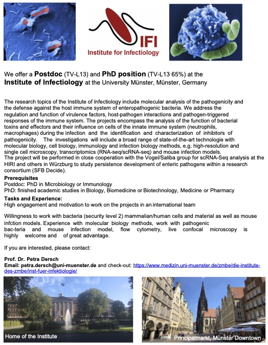 We offer a Postdoc and a PhD position at the 
Institute of Infectiology at the University Münster, Germany, studying the dynamic of infections and the development of persistency by enteric bacterial pathogens and triggered host responses, please RT, for more information see: