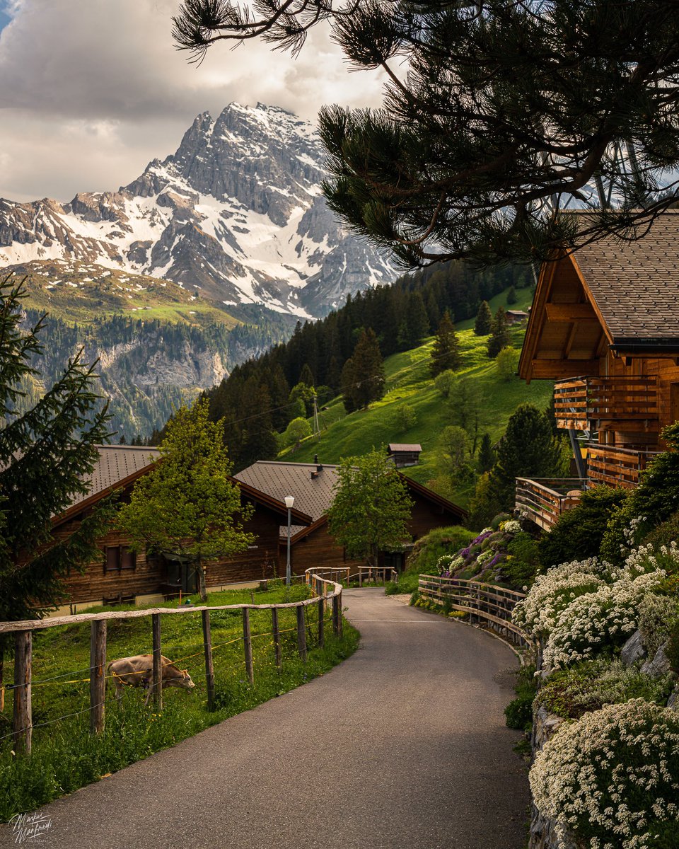 swissaround's tweet photo. Mürren in Switzerland 🇨🇭
#Switzerland #amazingplaces #dream https://t.co/Qxk8XDzsYq
