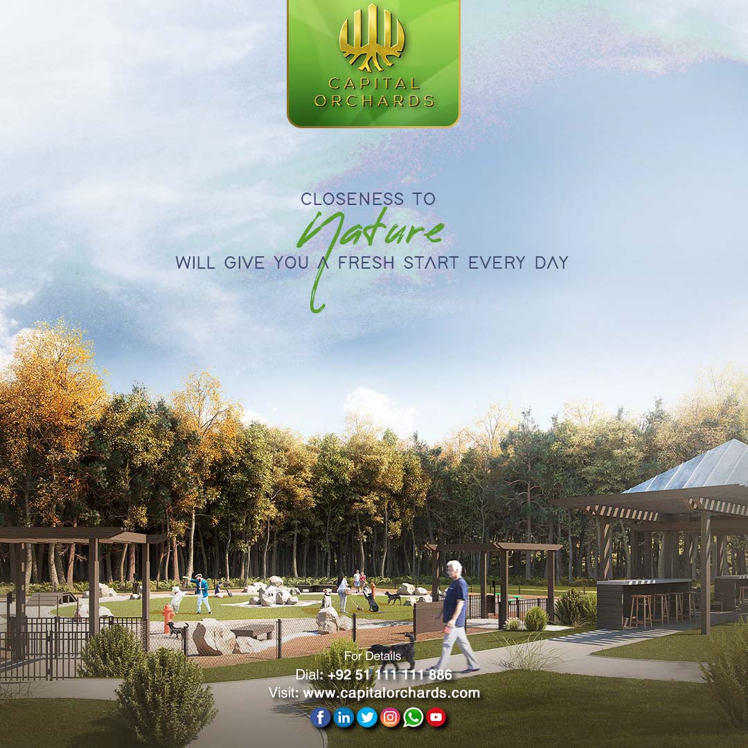 capitalorchards's tweet photo. Respect the all healing nature &amp; enjoy it to the fullest.
-
-
-
#capitalorchards #dxb #shaddock #islamabadproperty #islamabad #realestate #property #propertyinvestment #propertyforsale #pakistan #karachi #realestateagent #pakistanrealestate #pakistanproperty #lahore https://t.co/NF11y4KDjH
