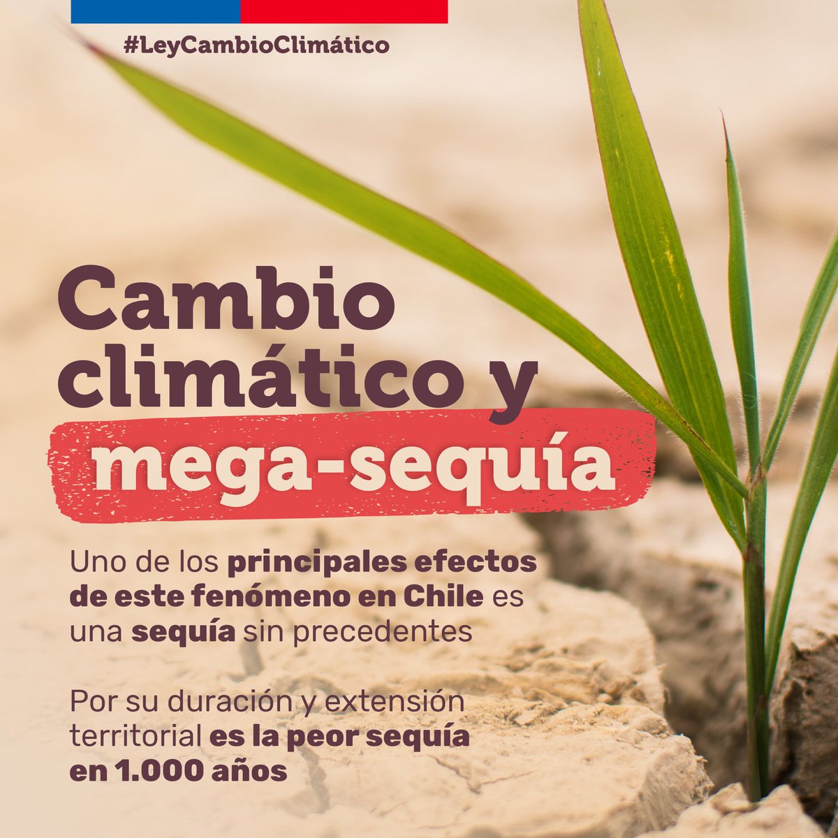 Ministerio del Medio Ambiente tweet media