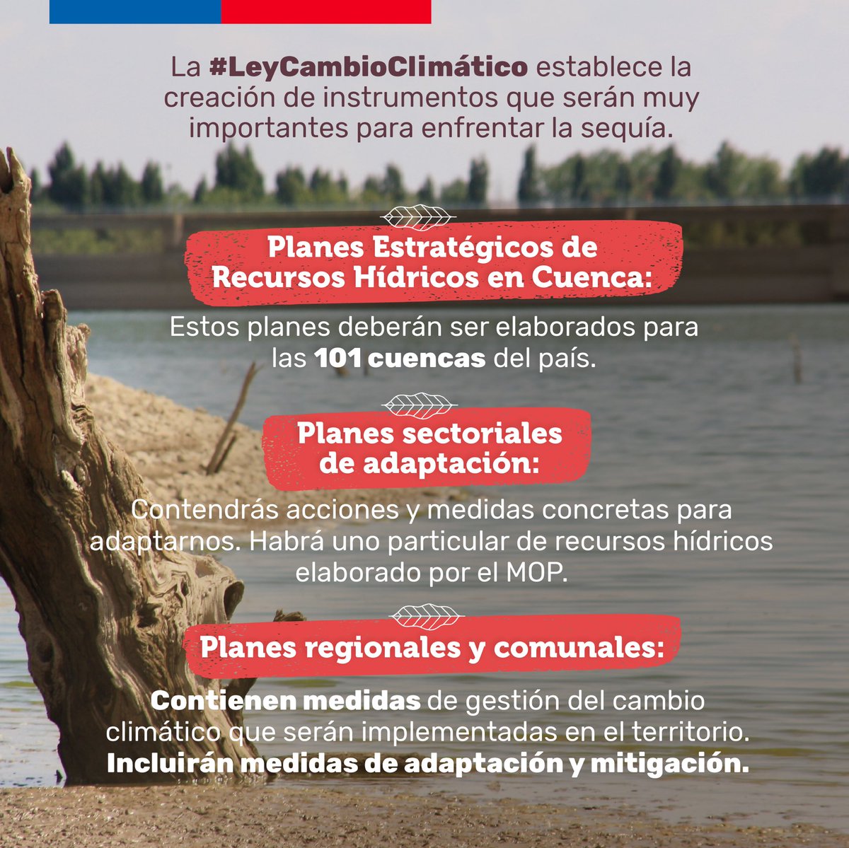 😲Chile enfrenta la peor sequía en 1.000 años. 

Se trata de uno de los impactos más visibles del cambio climático en nuestro país 🤔¿Cómo lo enfrentaremos? Contamos con la #LeyCambioClimático que promueve la adaptación a través de medidas y acciones concretas. 

Conócelas acá👇🏽