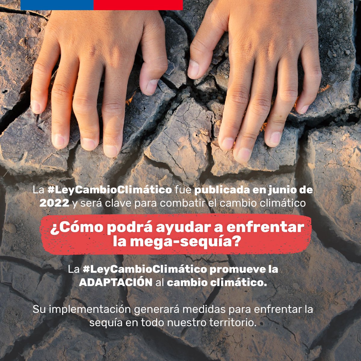 Ministerio del Medio Ambiente tweet media
