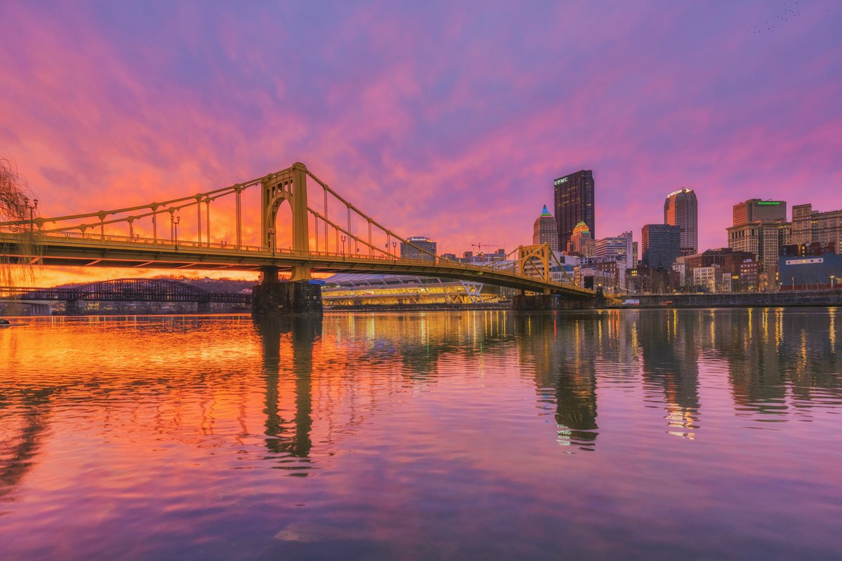 Dave DiCello tweet media