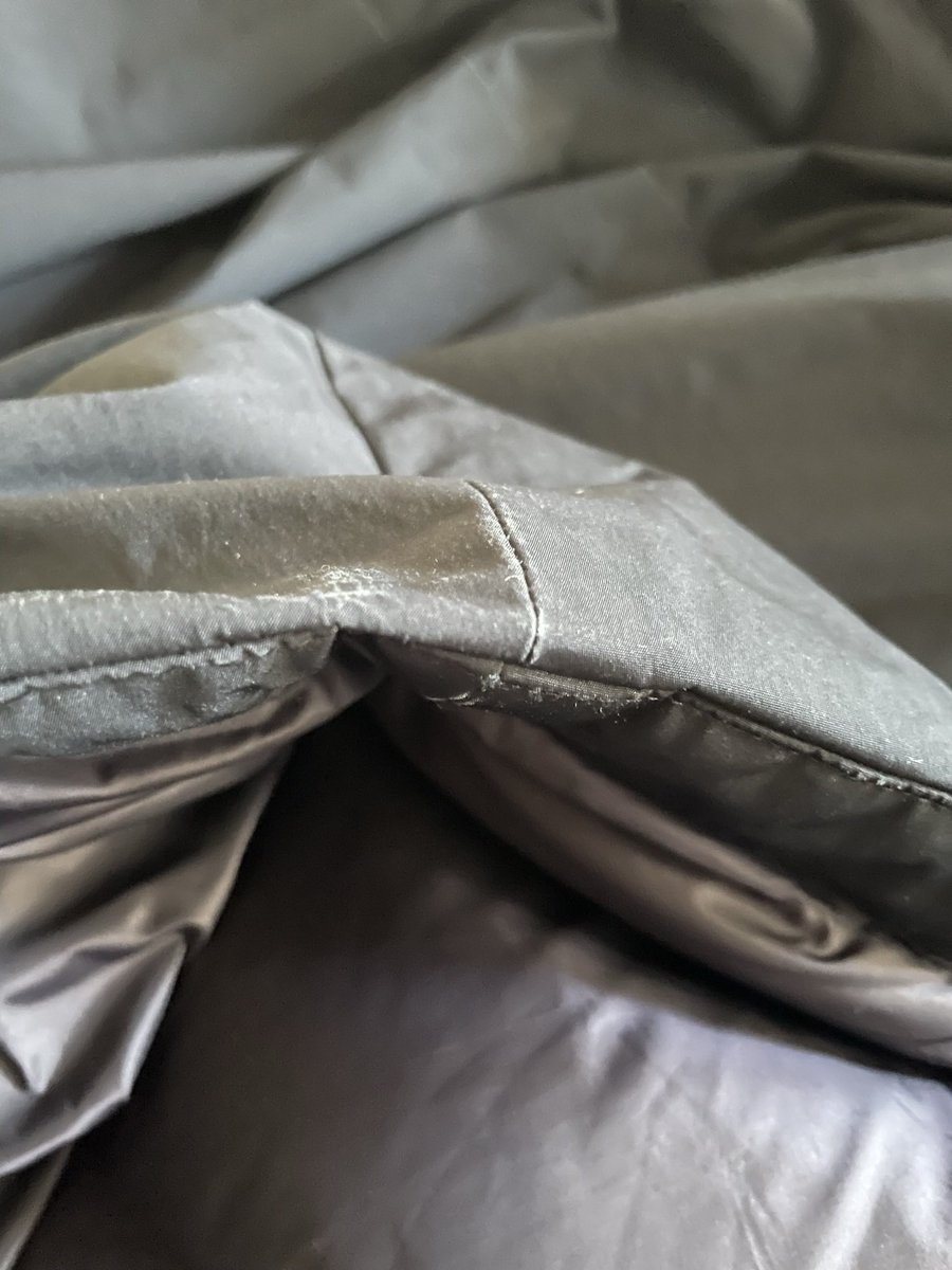 Paulina Reynier tweet media