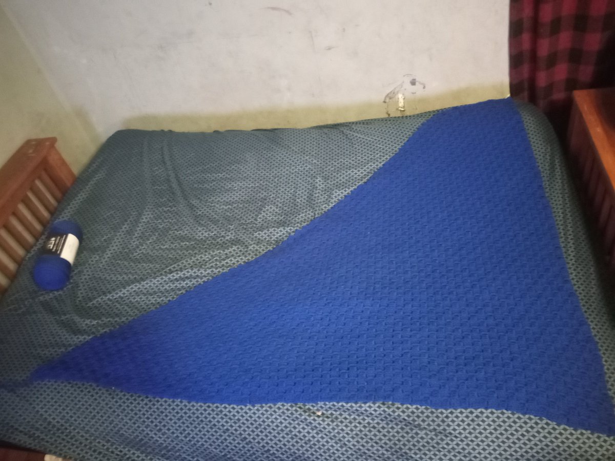 Tonya (She\Her) on Twitter "This is how big my blanket is! Almost