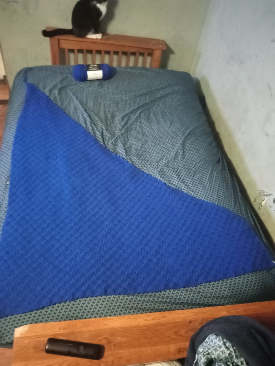 Tonya (She\Her) on Twitter "This is how big my blanket is! Almost