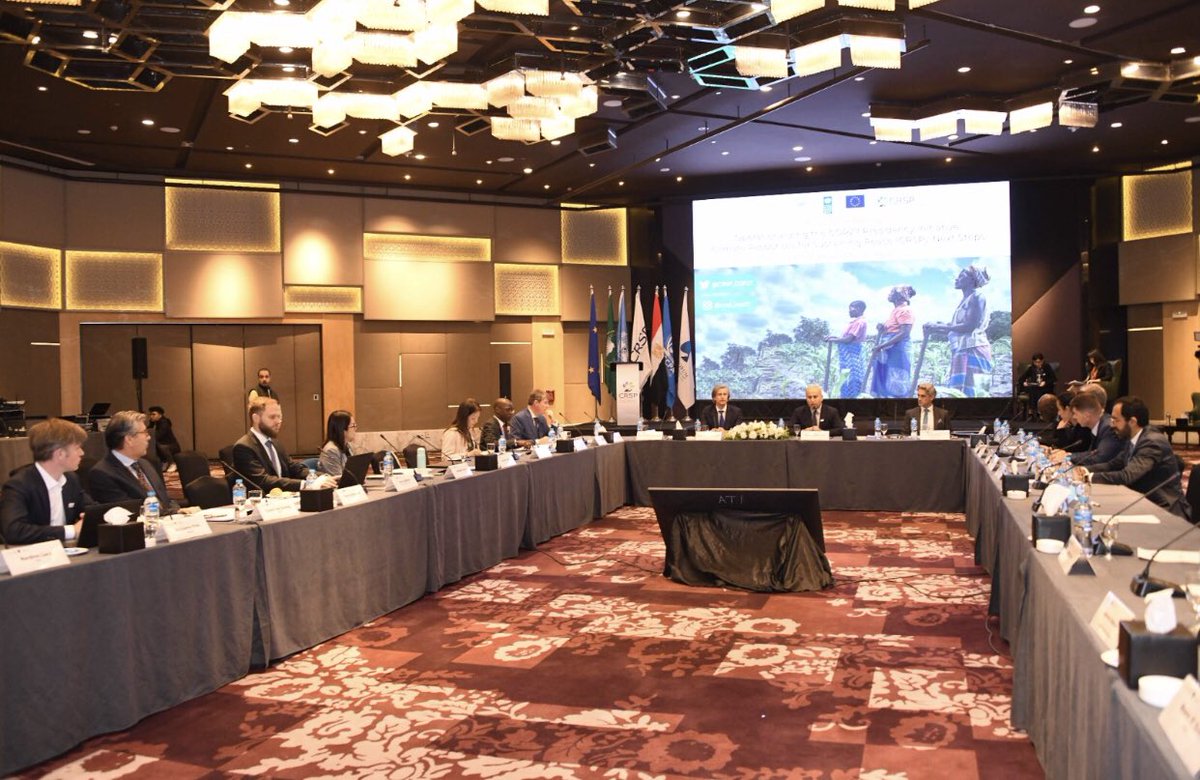 Exciting to see #CRSP moving from a novel concept that brings together #climatechange &amp; sustaining #peace towards an actionable agenda with a #roadmap for implementation+clear deliverables  on way to #COP28.🙏 to all partners whose contribution was key to consultation’s success!
