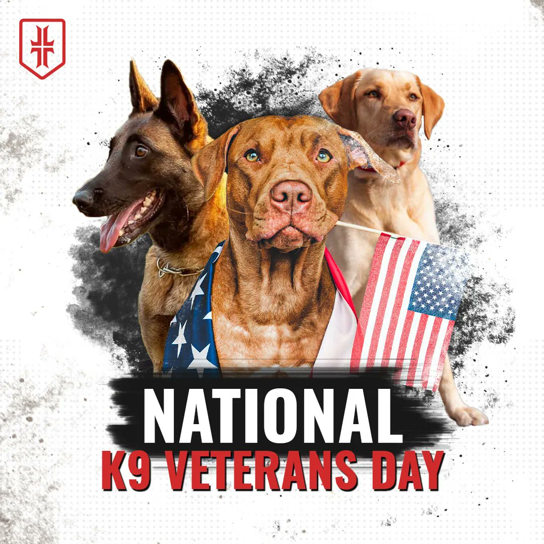 Happy National K9 Veterans Day to all the great dogs who've served. 

#K9vet #K9veteransday #warpoet #WPS