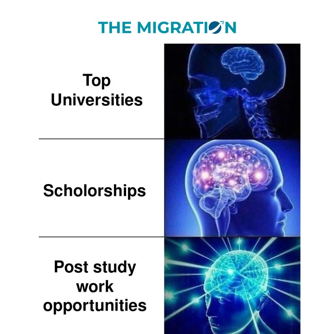 TheMigrationAU's tweet image. Whether you're looking for a high-quality education system or work opportunities after graduation, Australia is the ideal study-abroad destination. 

So just don't miss out on this life-changing opportunity.

#themigration #lifeinaustralia #studyinaustralia #studentvisa